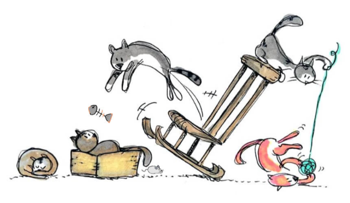 장난치는 고양이 이미지