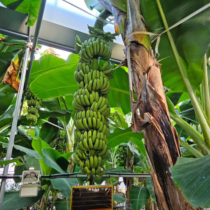 큰삼촌농촌체험