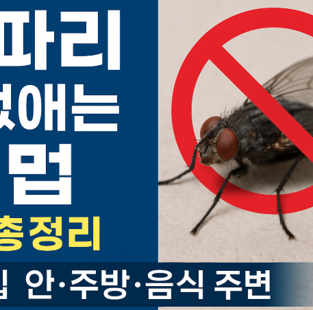 파리 없애는 법 총정리, 집 안부터 주방-음식 주변에서 효과적으로 퇴치하는 방법 (이미지 챗지피티)