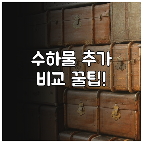 장거리 노선 위탁수하물 추가 구매 비..