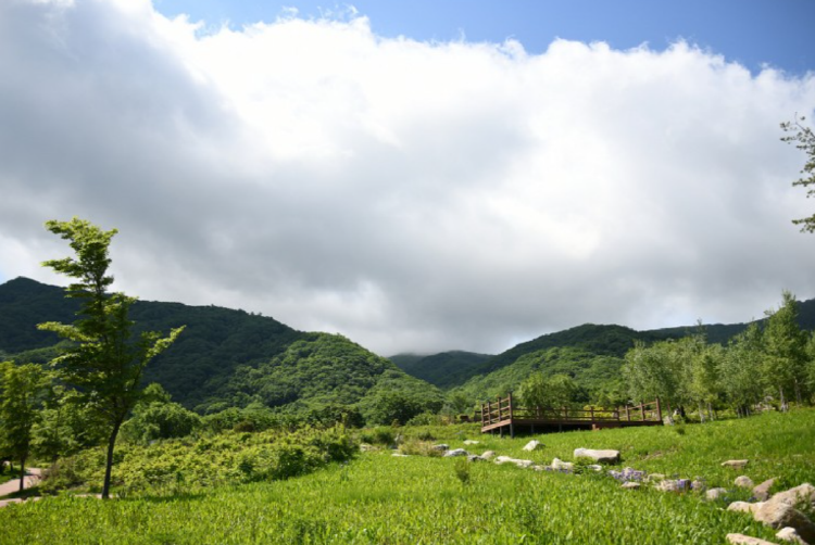 DMZ 펀치볼 둘레길