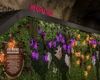 무주 반딧불이 축제17