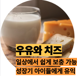 비타민B2 많은 우유와 치즈