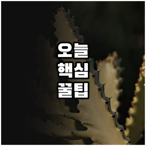한국폴리텍 다솜고 2025 다문화 청..