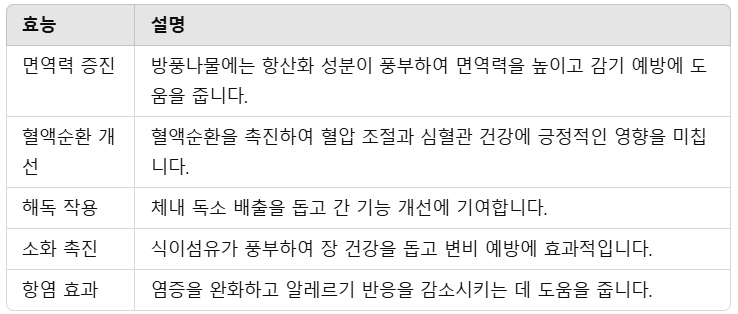 방풍나물의 효능