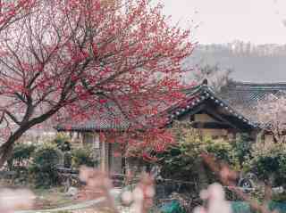 달의 연인 촬영지 남평문씨본리세거리