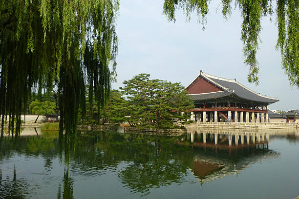 국내저평가관광지리뷰