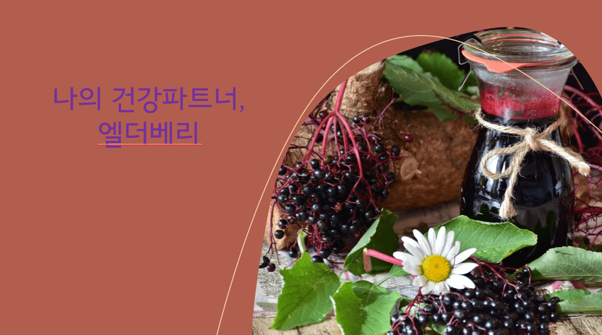 엘더베리, 우리 몸에 들어오면 어떤 역할을 할까?