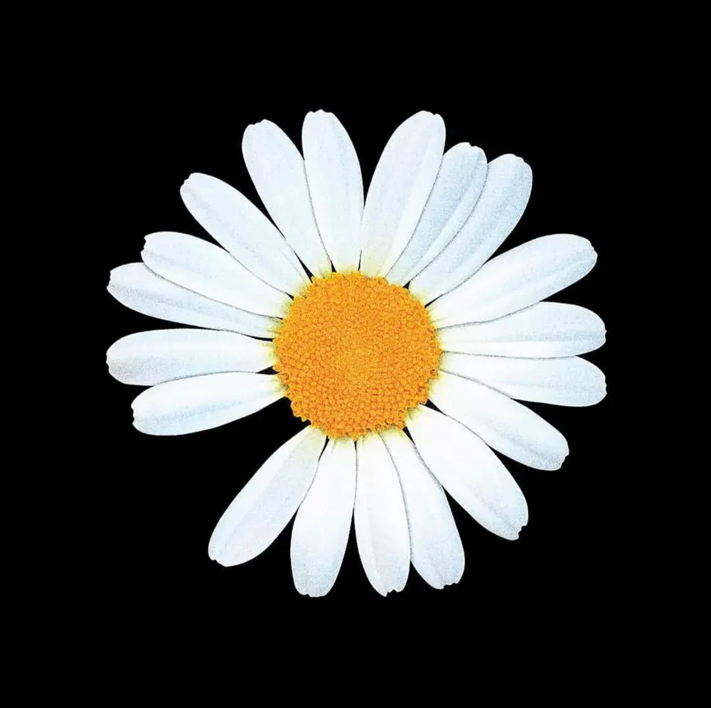 피스마이너스원 하이볼 마시는 방법과 추천 레시피_5