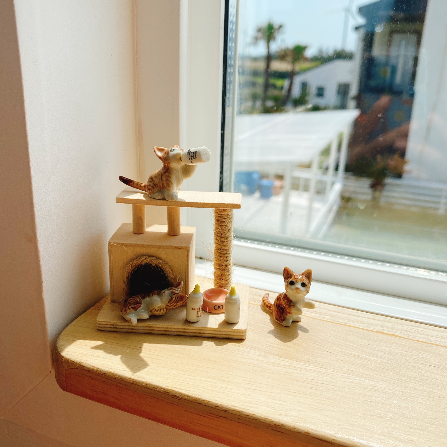 제주 한경 싱계물공원 바다목장 솜사탕 커피 그린구름 카페