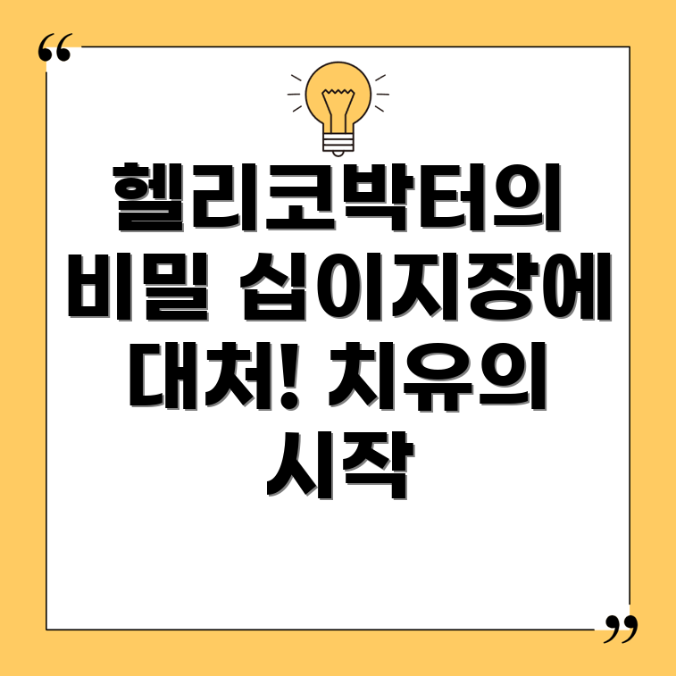 헬리코박터 십이지장 궤양