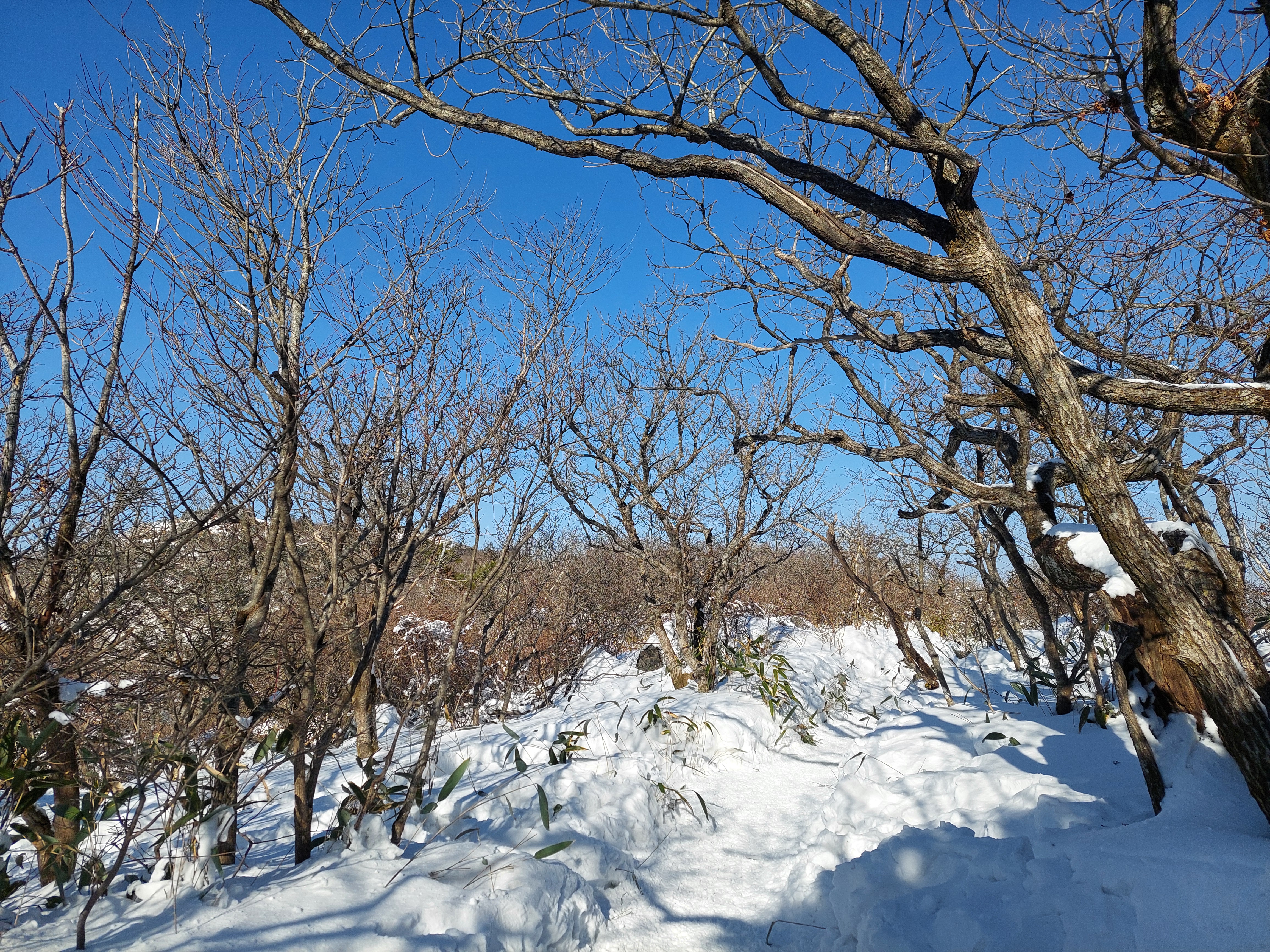 덕유산