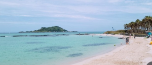 2024년 제주도 해수욕장 BEST 12