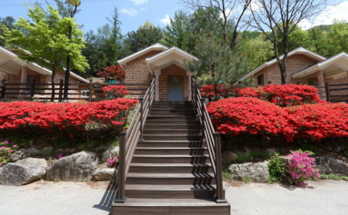 장령산 자연휴양림 예약 물놀이 계곡 데크 찜질방 야영장 입장료