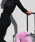만다리나덕 캐리어