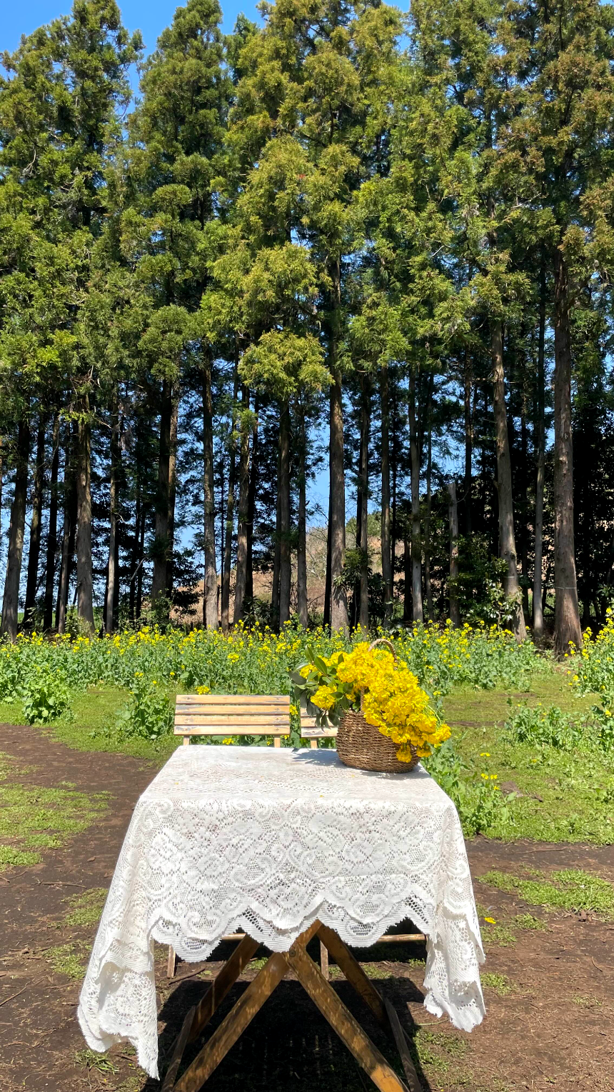 비밀의 숲 식탁보 포토존