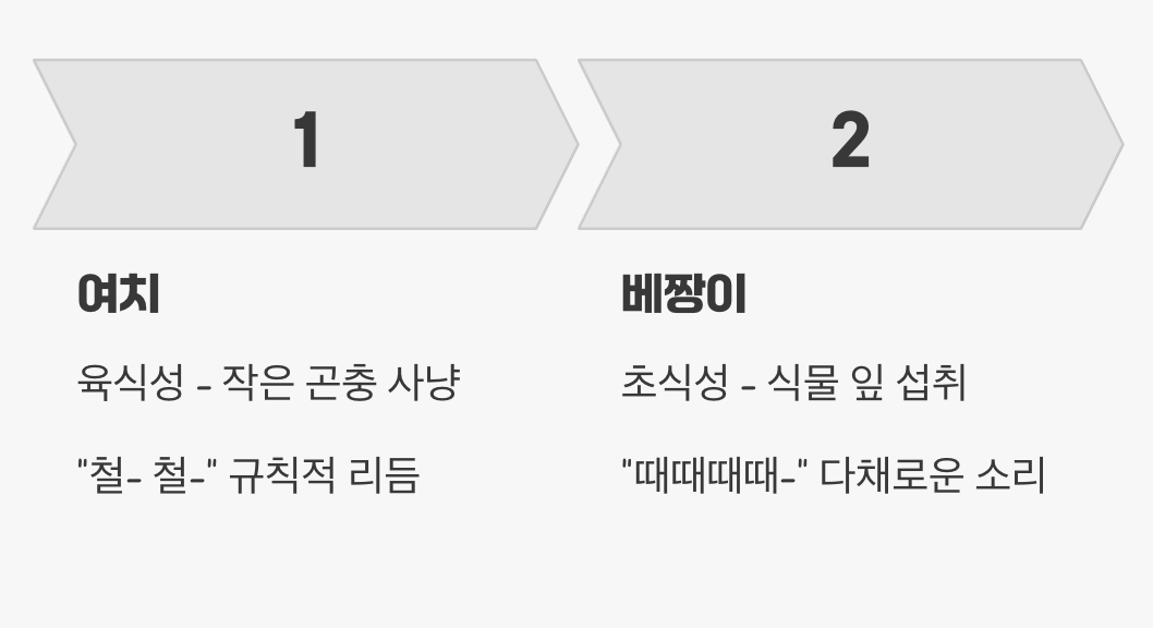 여치와 베짱이&amp;#44; 어떻게 다를까?