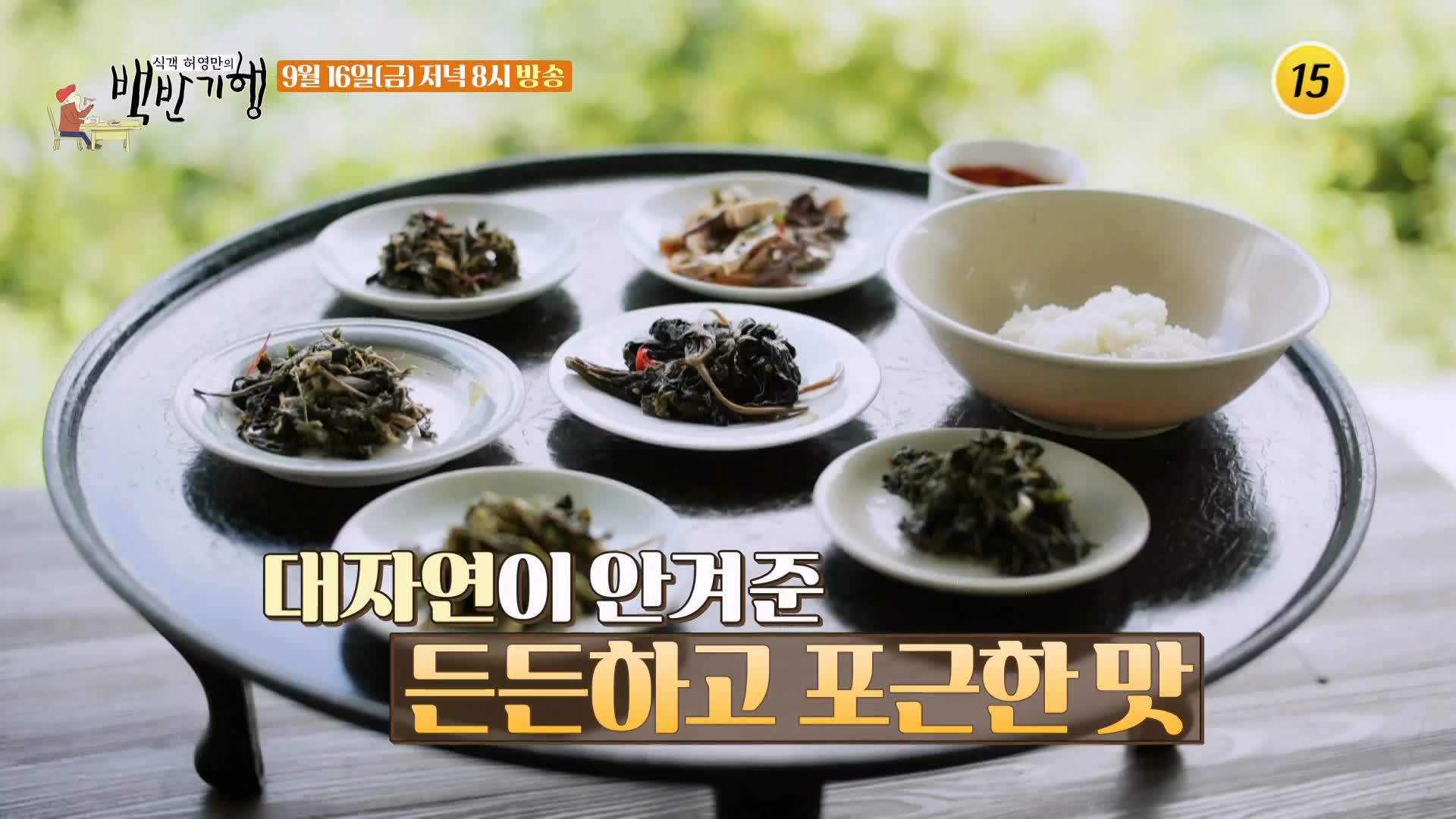 식객 허영만 백반기행 169회 표창원 편 주인장이 직접 캔 7가지 나물로 만든 산채비빔밥 강원 화천 비수구미 마을 맛집 소개