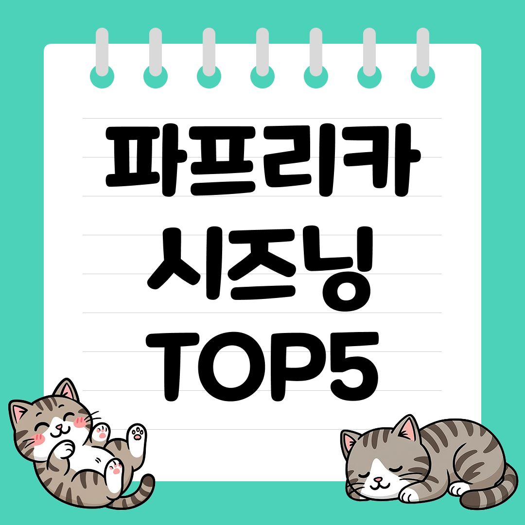 색과 향을 한 번에! 파프리카 시즈닝 추천 순위 TOP5