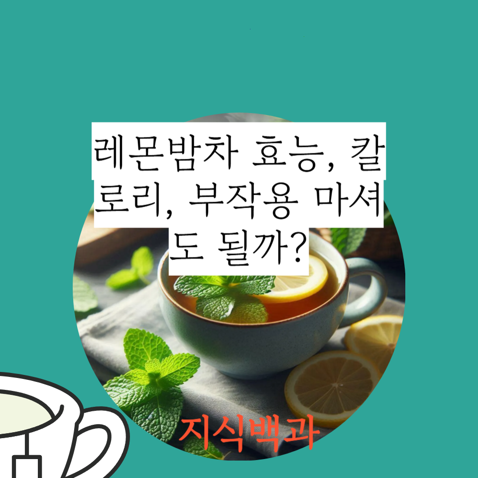 레몬밤차 효능, 칼로리, 부작용 마셔도 될까?