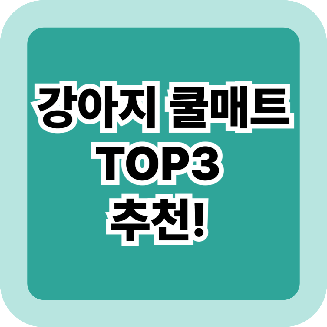 강아지 쿨매트 TOP3 추천! 파미야·디팡·페스룸 브랜드 비교 분석 총정리