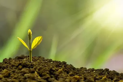 새희망홀씨 대출 조건(비대면 신청)8