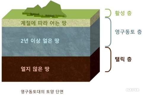 영구동토대의 토양 단면 출처-네이버 지식백과