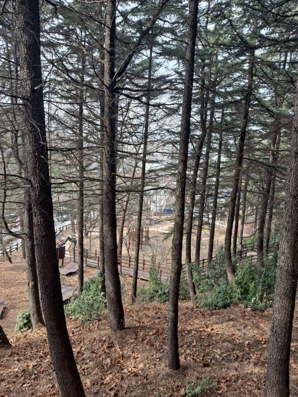 수봉공원 걸어온 데크길