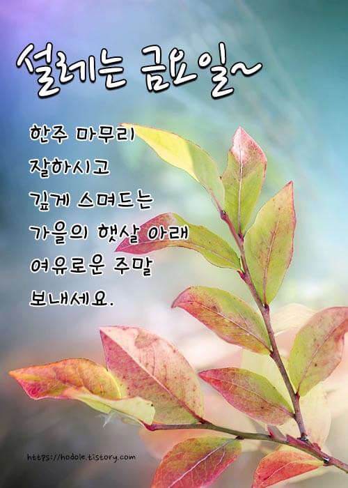 금요일-안부인사-이미지