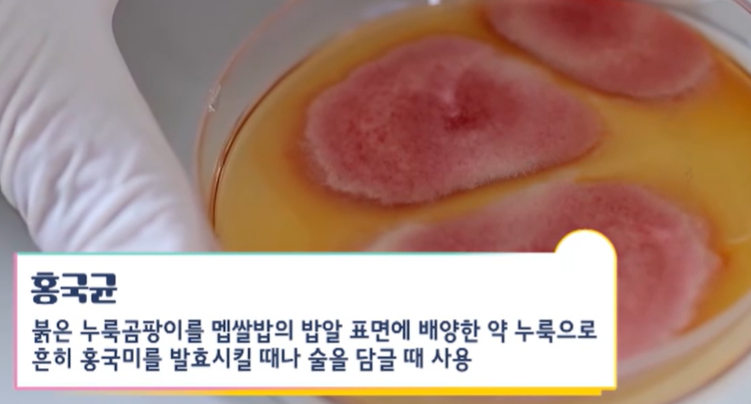 홍국균