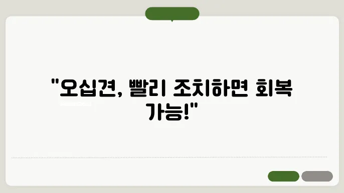 오십샠 주입