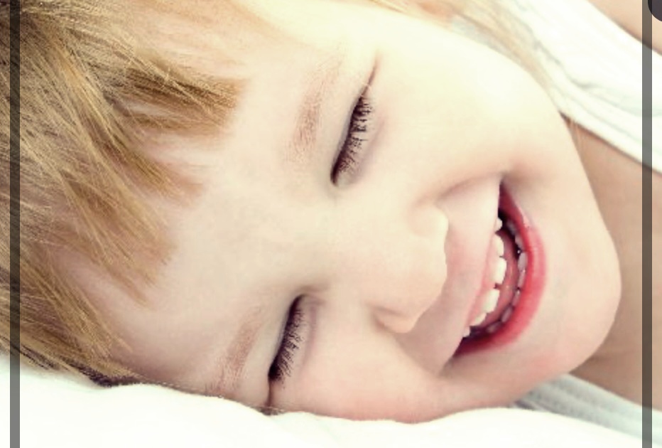 강아지 고양이 변 냄새로 알아보는 건강상태 10가지