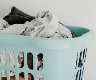 크린토피아 창업에 대하여 알아보기