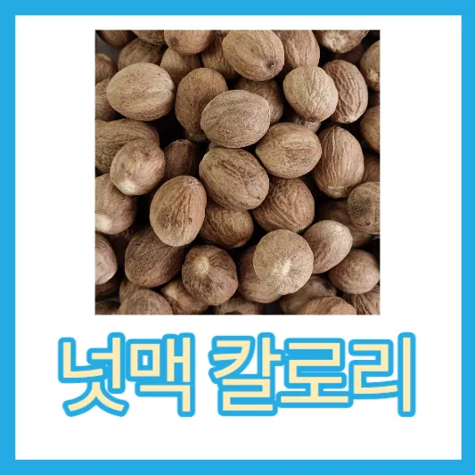 육두구 넛맥 효능 섭취방법 칼로리 가격 너트맥