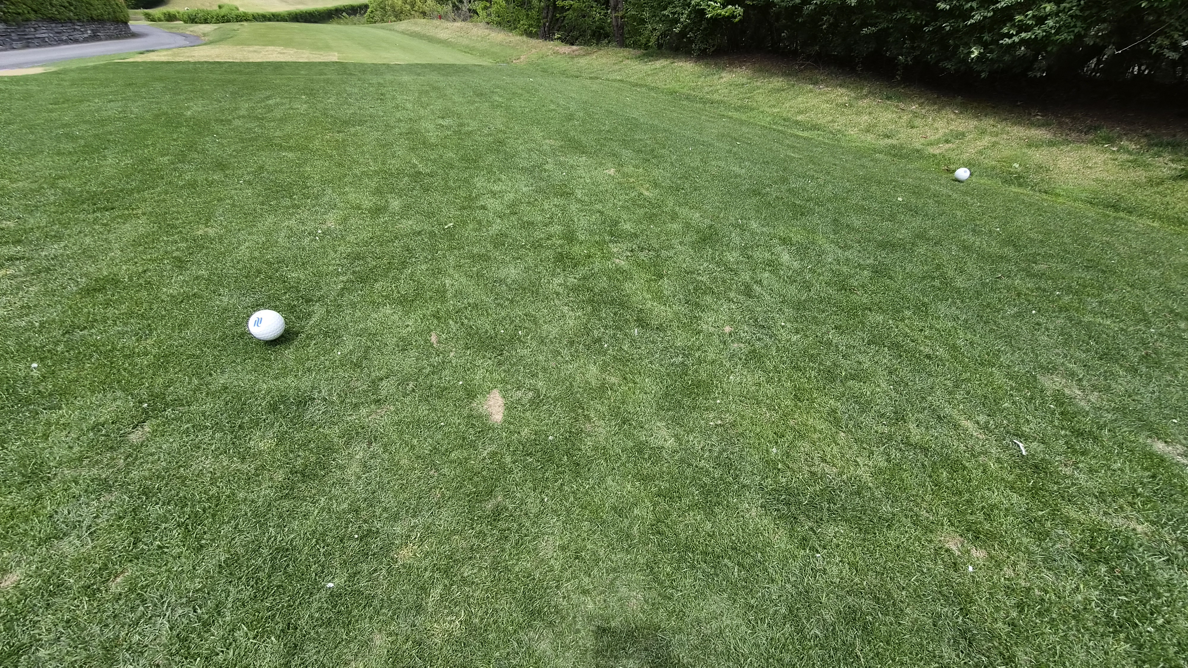 포웰cc 프린세스 라운드 후기