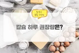 칼슘 하루 권장량
