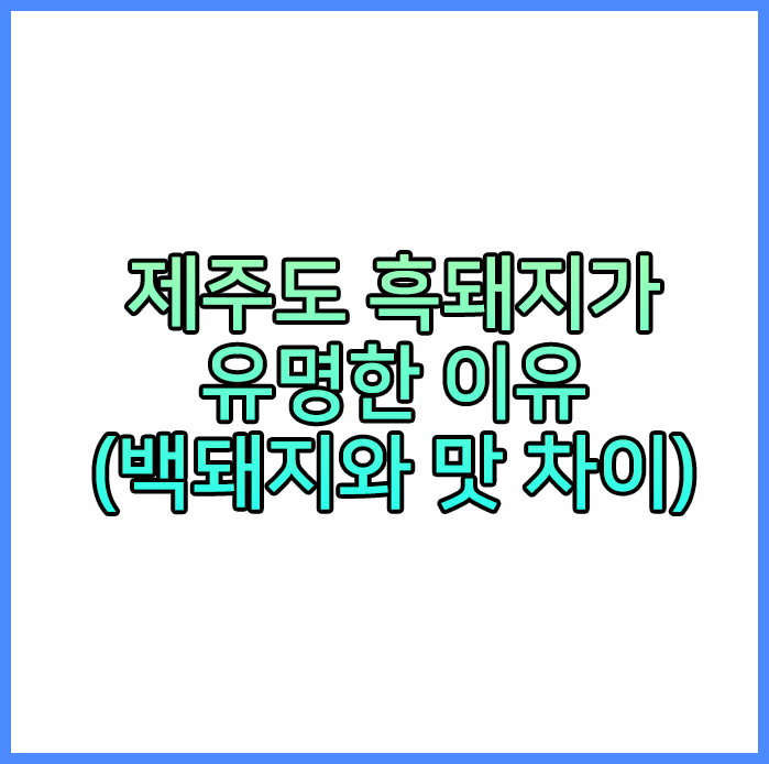 제주도 흑돼지
