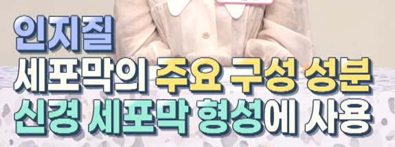 포스파티딜 세린