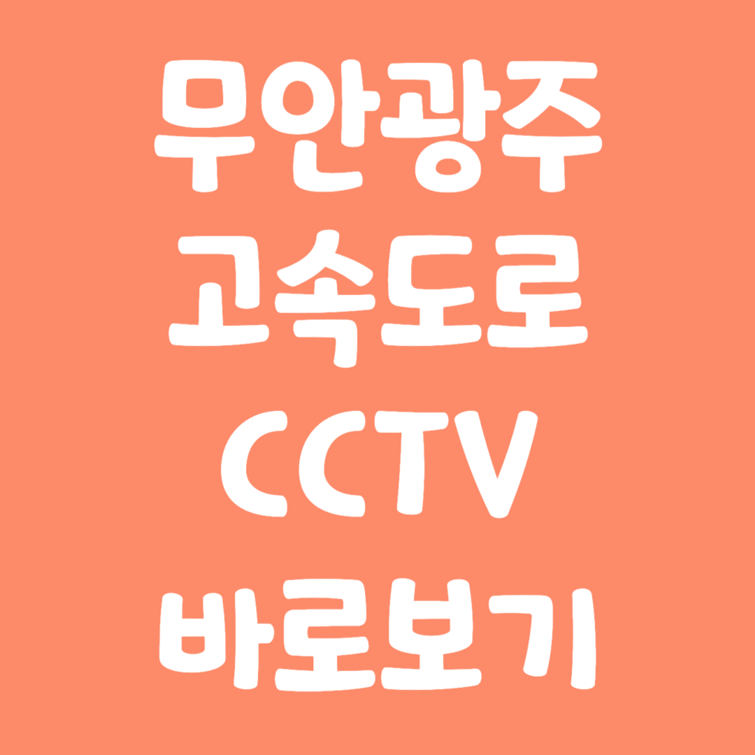 실시간 무안광주고속도로 CCTV 바로보기