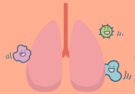 폐렴 증상 7가지 총정리 섬네일