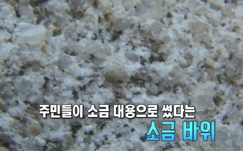 소금이나오는바위가있다-남원-대곡리암각화