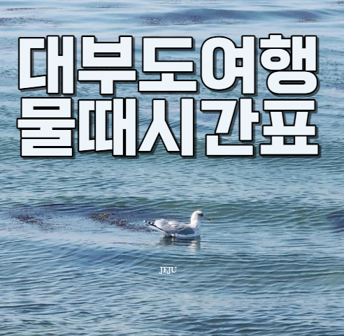 대부도물때시간표