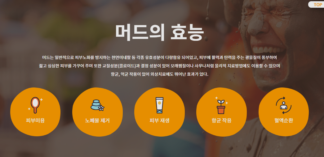 2025 보령머드축제 정보 예매 예약하기 얼리버드