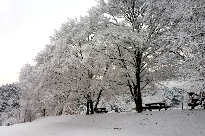 특색있고 아름다운 민간 정원 30선 추천 여행 - 23. 함양 하미앙정원