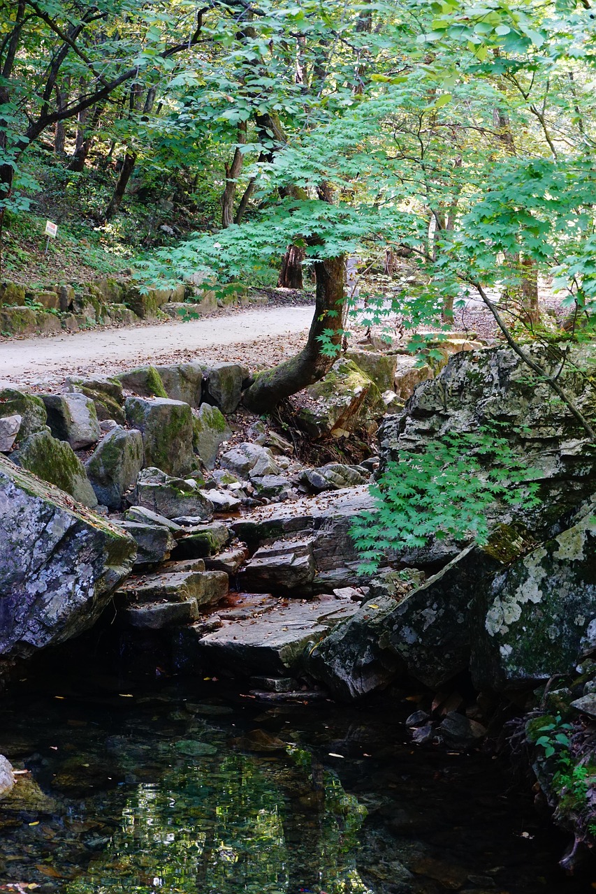 공무원연금계산기