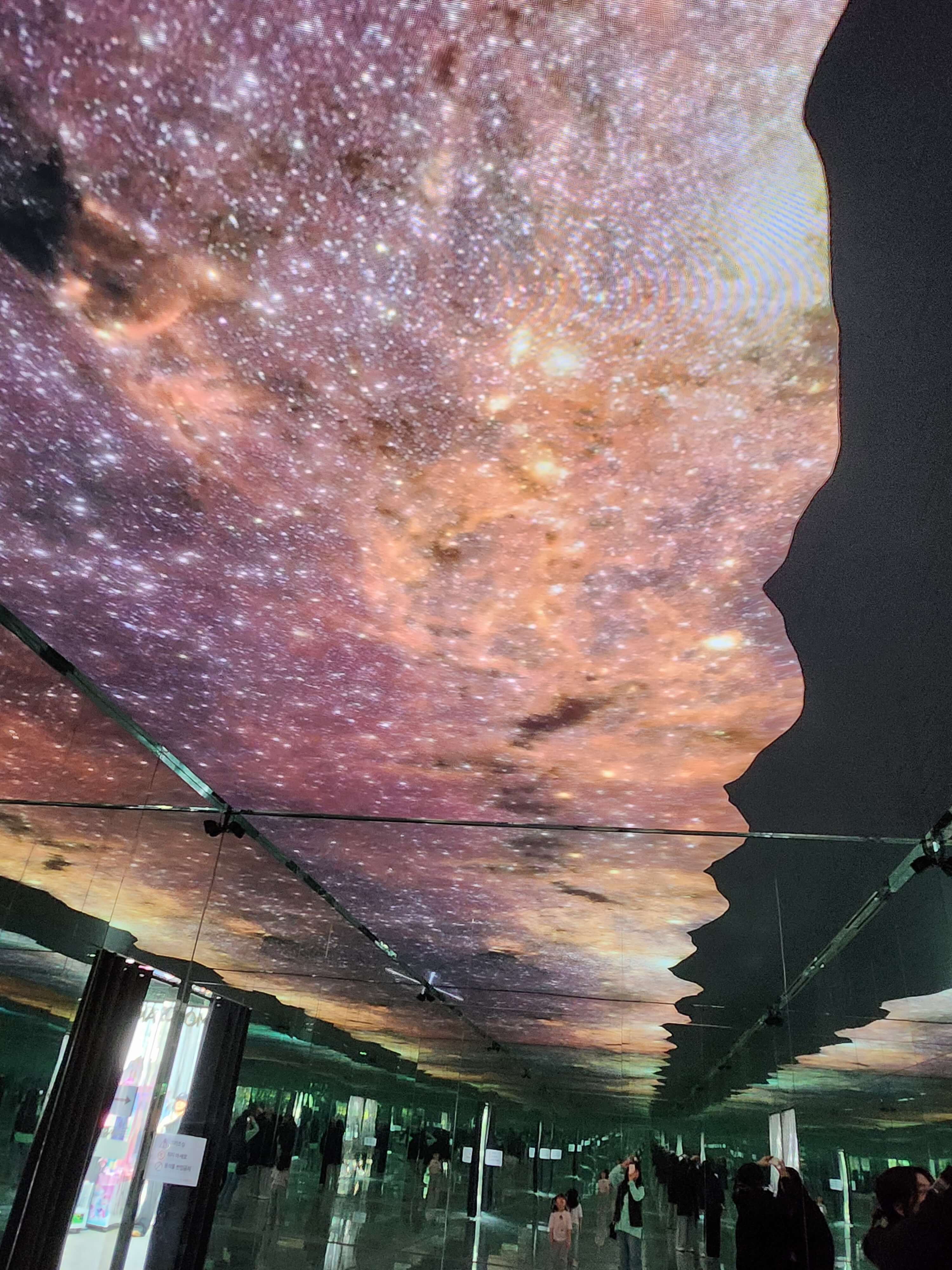 가평 베고니아 정원