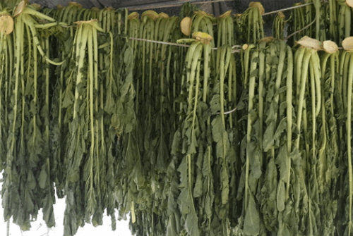 무우청시래기효능1