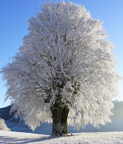 수족냉증 자가진단부터 한의학 치료까지, 따뜻한 손발 만드는 실천법 총정리