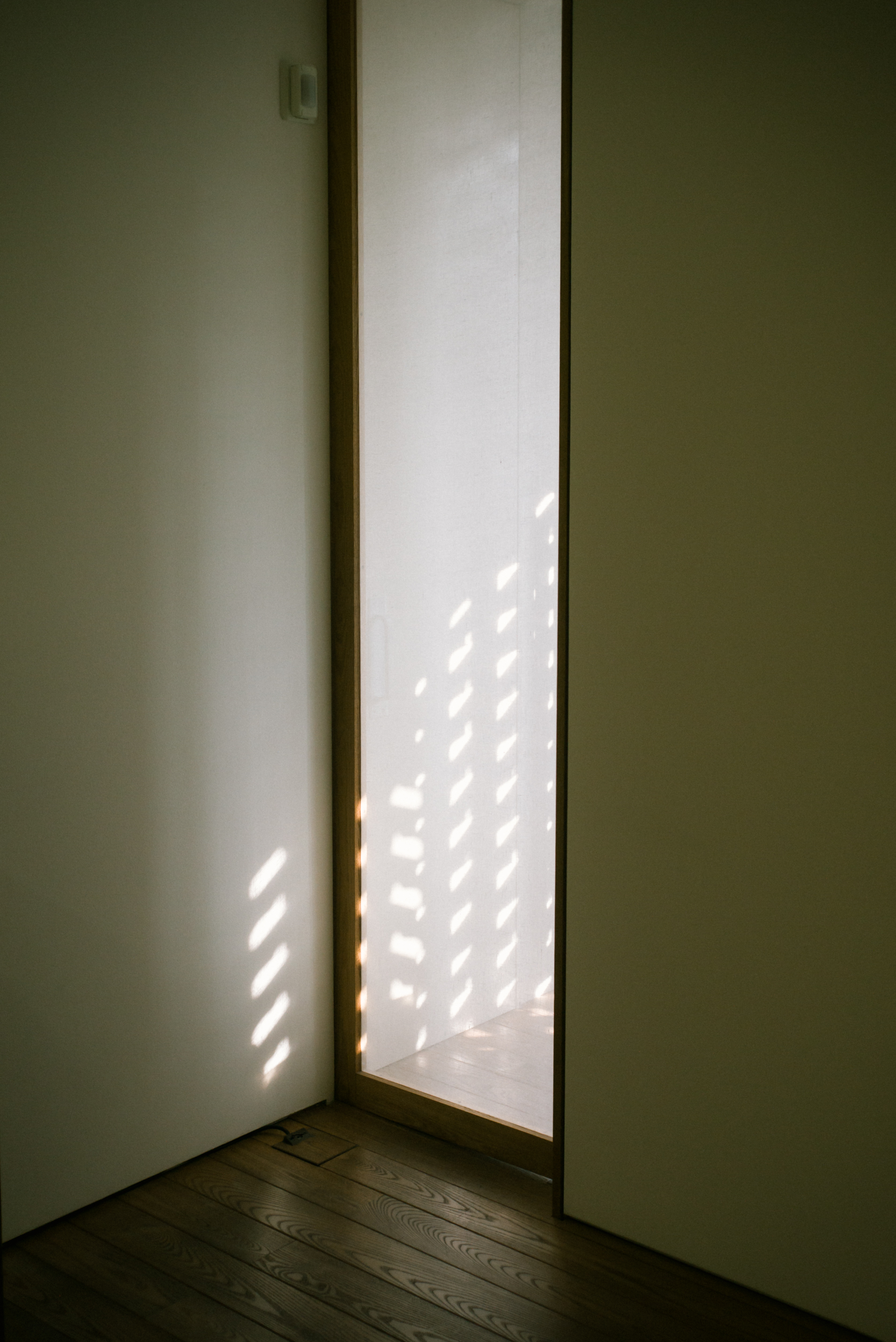 실내를 향해 햇빛이 들어오고 전시장 안에는 그림자가 지며 빛이 균일하지 않은 상황. 그럼에도 ISO 1600의 세팅으로도 안정적인 결과를 보여준다.