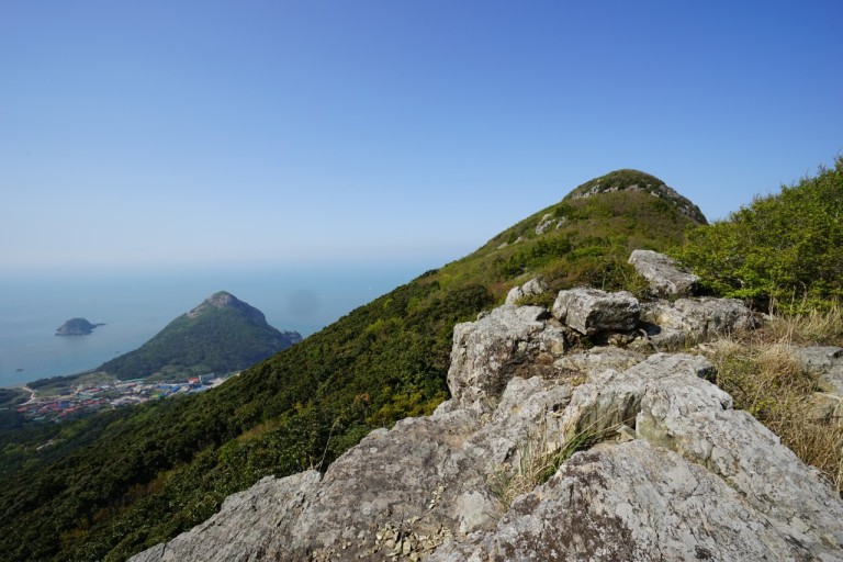 격자봉